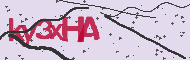 Captcha認証コード